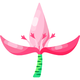 Розовый банан иконка