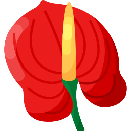 anthurium Icône