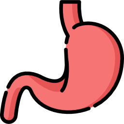 Stomach icon