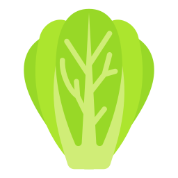 Lettuce icon