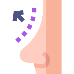 코 성형 icon