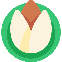 Pistachio icon