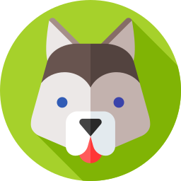 Husky icon