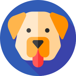 Labrador retriever icon