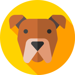 Pitbull icon