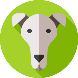 greyhound Ícone