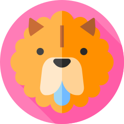 Chow chow icon