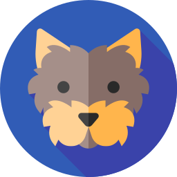 yorkshire-terrier icon