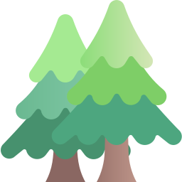 Pine icon