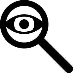 Eye in a magnifier icon