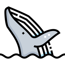 Whale icon