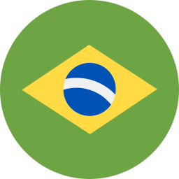 브라질 icon