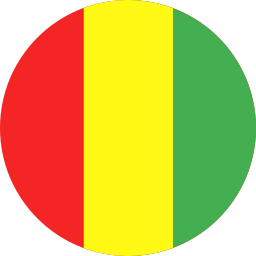 guinée Icône