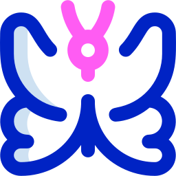 Butterfly icon