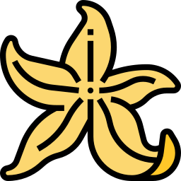 ヒトデ icon