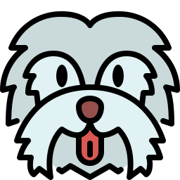 몰티즈 icon
