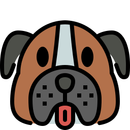 Boxer icon