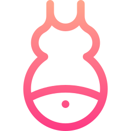 el embarazo icono