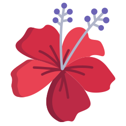 hibiscus Ícone