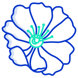 wilde rose icon