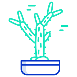 cactus icoon