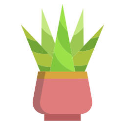 cactus icoon