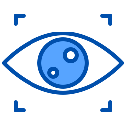 vision icon