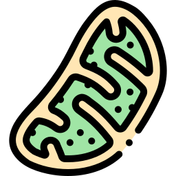 mitochondria ikona