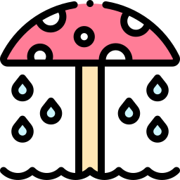 Mushroom shower icon