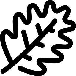foglia di quercia icona