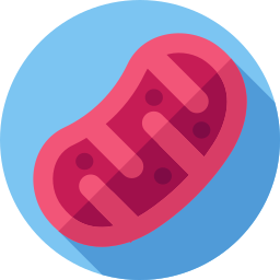 Mitochondria icon