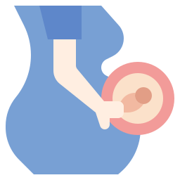 Репродуктивный иконка