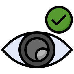 Visible icon