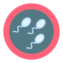 spermatozoïdes Icône