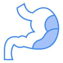 Stomach icon