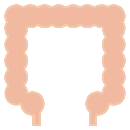 intestino grueso icono