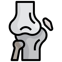 articulación de la rodilla icono
