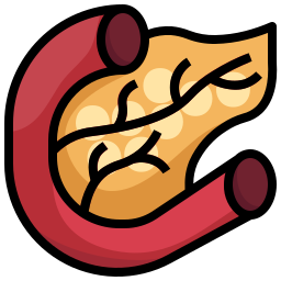 pankreas icon