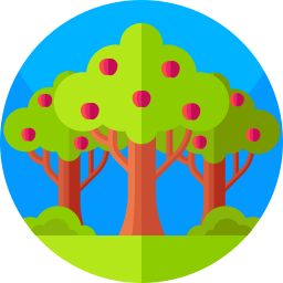 Apple tree icon