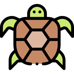 tortuga icono