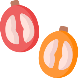 Cherry icon