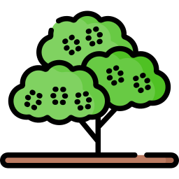 Tree icon