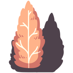 pinheiro Ícone