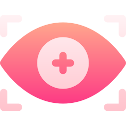 Vision icon