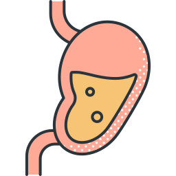 Stomach icon