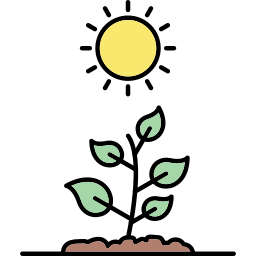 Photosynthesis icon