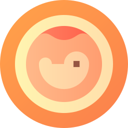 embrión icono