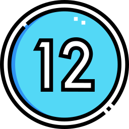 12 icon