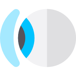 Contact lens icon