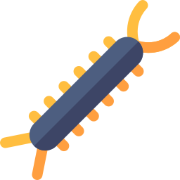 mille-pattes Icône